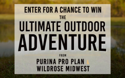 Purina Pro Plan Ultimate Outdoor Adventure