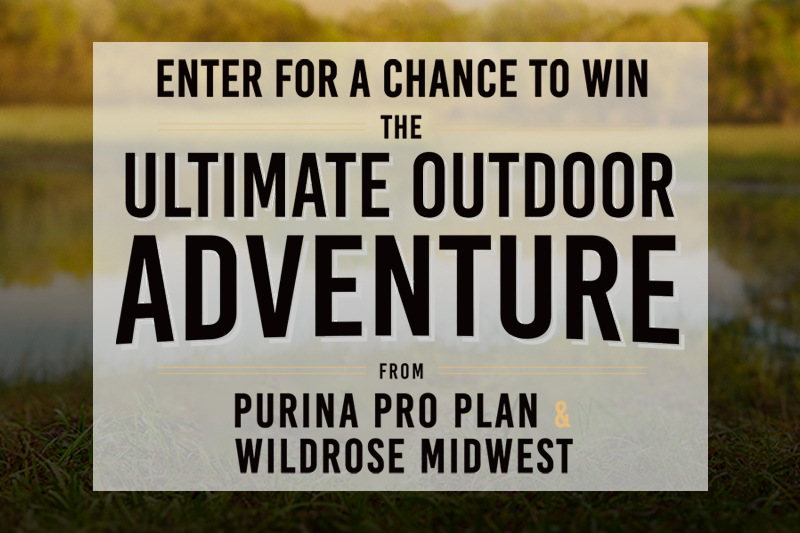 Purina Pro Plan Ultimate Outdoor Adventure